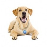 Медальоны и адресники