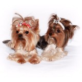 Бантики, заколки, резинки