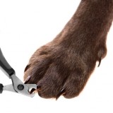 Когтерез, пилки