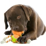 Веревки и канаты