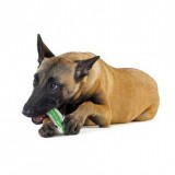 Игрушки из резины