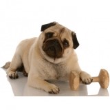 Игрушки из дерева