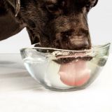 Вода и напитки