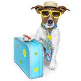 Путешествия