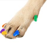 Маникюр для собак