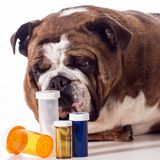 Ветеринарные препараты