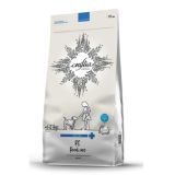 При заболеваниях почек