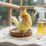 Средства для ухода и гигиены
