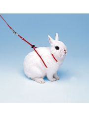 Шлейка для кроликов Ferplast Ny Rab регулируемая