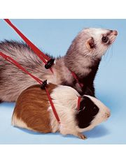 Шлейка для морских свинок и хорьков Ferplast Ny Rod регулируемая