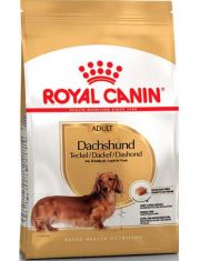 Сухой корм для собак Royal Canin Dachshund Adult породы Такса