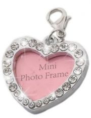 Адресник для животных Дарэлл Сердечко со стразами и кармашком для записи