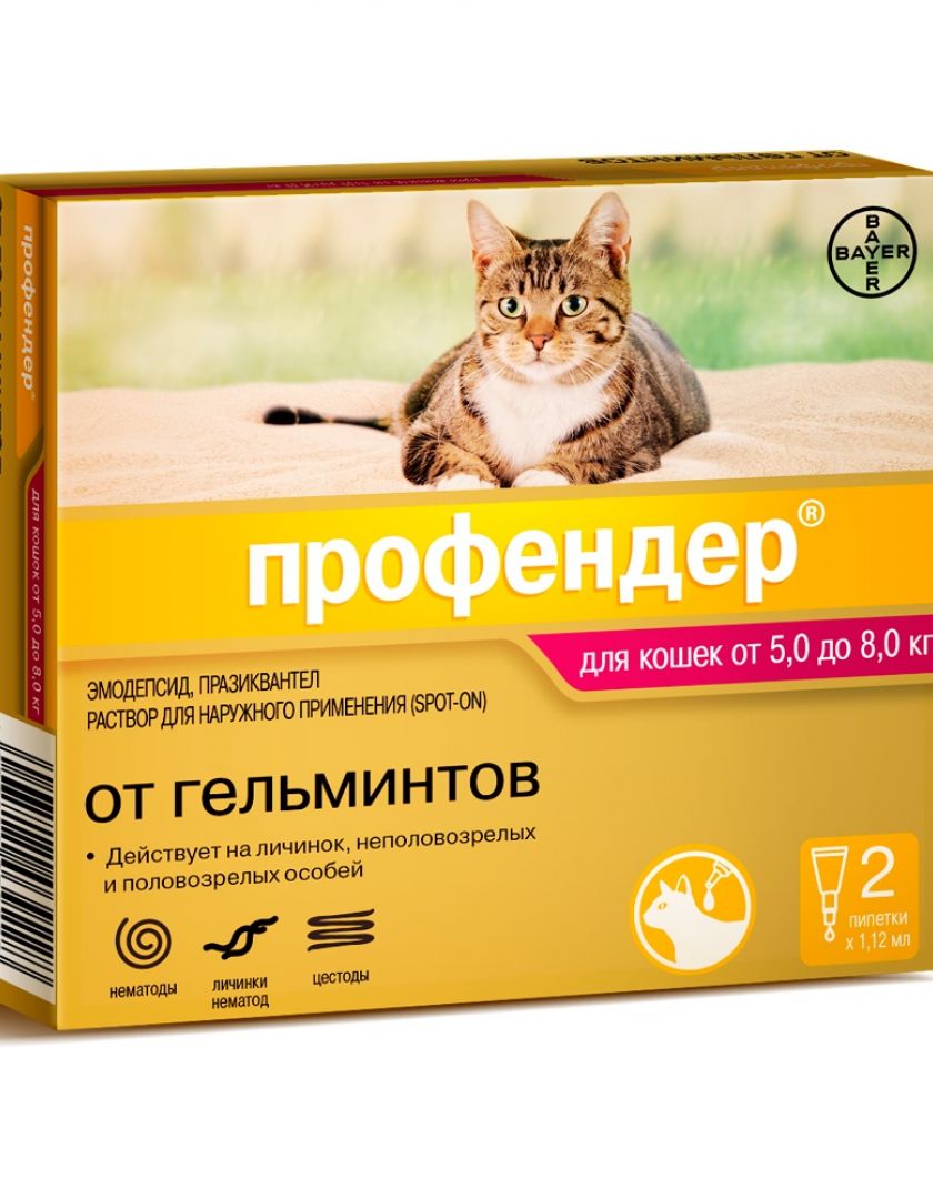 Нематоды У Кошек Фото Нематоды У Кошек Фото
