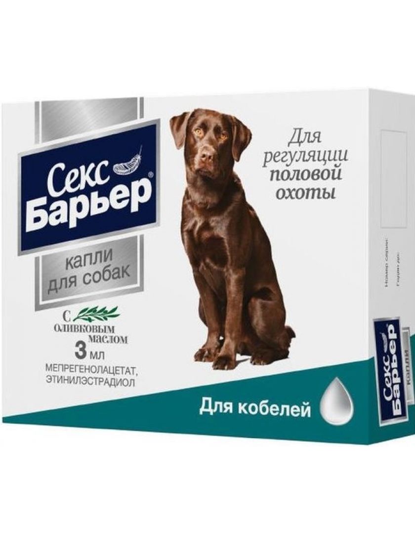 Член кобеля фото