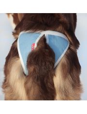 Трусы для собак Osso Fashion многоразовые, впитывающие