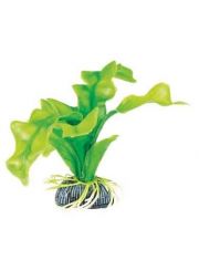 Растение для аквариума Laguna Апоногетон зеленый