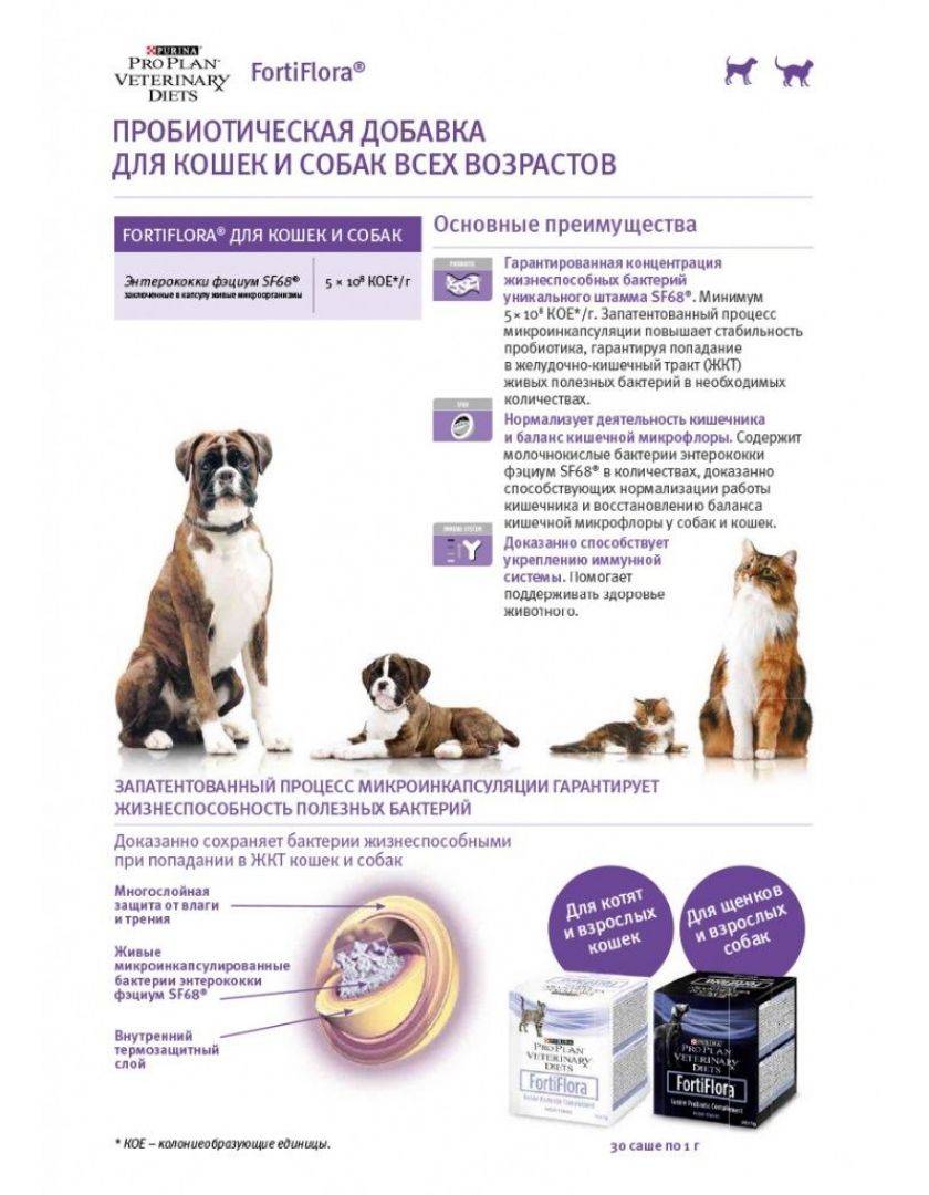 What Does Fortiflora Do For Dogs