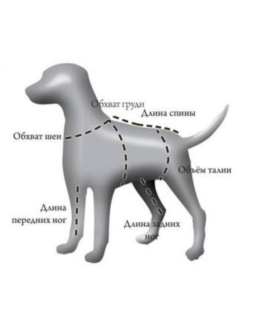 Изображение товара