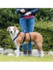 Шлейка для собак Trixie Stay неуверенных и пугливых из нейлона