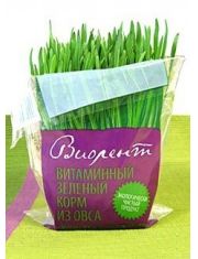 Овес пророщенный 