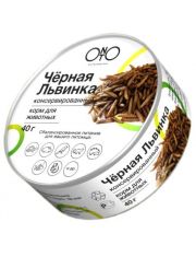 Чёрная львинка консервированная