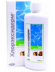 Шампунь для кошек и собак Хлорэксидерм профилактика кожных заболеваний