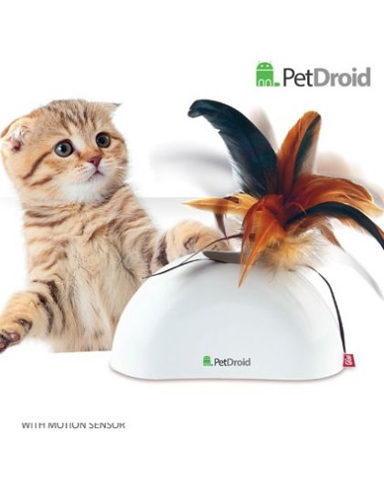 Gigwi pet droid 2025 hide and seek