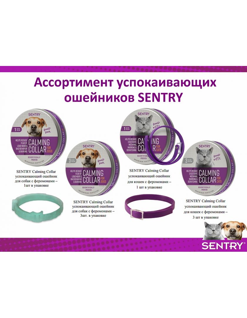 Купить Ошейник Успокоительный Для Собак