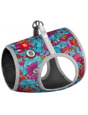 Шлея WAUDOG c QR паспортом, рисунок "Лето" 