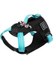 Шлея WAUDOG Nylon с QR паспортом, безопасная, металлическая пряжка-фастекс, голубая 