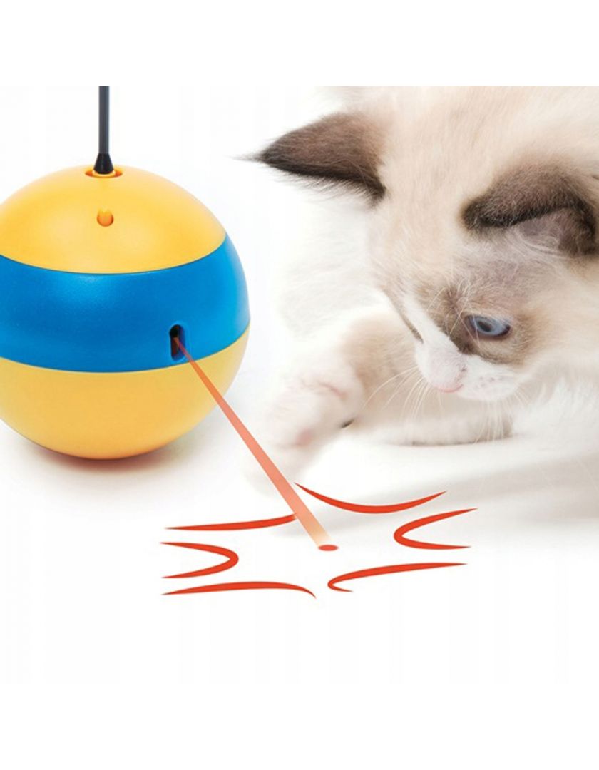 Catit play spinning bee new arrivals