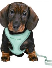 Шлейка для щенков Trixie Junior с поводком, нейлон