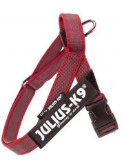 Шлейка для собак Ремни Color & Gray IDC® красная