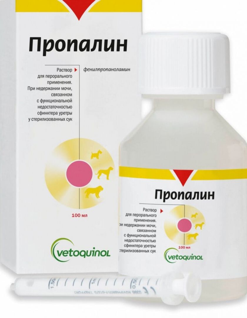 Суппорта аналоги напиток