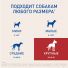 Превью