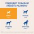 Превью