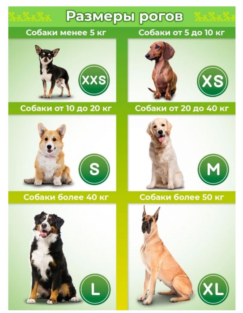 лакомство для собак titbit рога оленя. лакомство "solid natura" для собак мелких пород рога оленя 40г. лосиный рог собаке. можно ли собаке рога. погрызухин лакомство для собак молотый рог северного оленя.