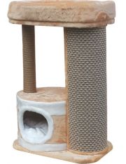 Комплекс «Оксфорд»