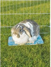 Подстилка для кроликов Trixie охлаждающая из керамики