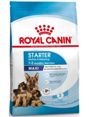 Сухой корм для щенков Royal Canin Maxi Starter крупных пород в конце беременности и в период лактации, а также для в период отъема от матери и до 2-х месячного возраста