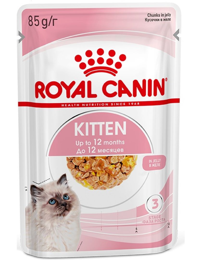 Royal Canin Kitten Jelly 12