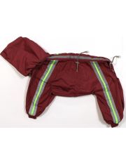 Комбинезон-дождевик 2-слойный "Фэшн Спорт" с капюшоном на девочку (китайская хохлатая)