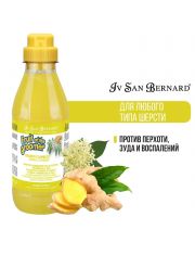 Шампунь для кошек и собак ISB Fruit of the Groomer Ginger&Elderbery с любым типом шерсти, против раздражений и перхоти