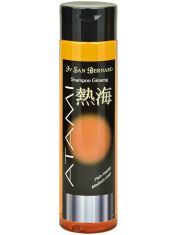 Шампунь для кошек и собак ISB Atami Женьшень антиоксидант с шерстью средней длины в период линьки