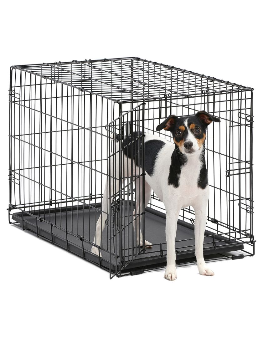 Клетка для собак MidWest iCrate 1 дверь, черная, купить в интернет-магазине  Филя с быстрой доставкой в Санкт-Петербурге