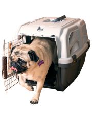 Переноска для животных MPS Skudo 3 с металлической дверцей и замком, серая