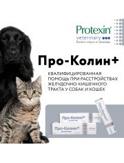 Кормовая добавка для собак и кошек Protexin Про-Колин+® пробиотическая, для нормализации микрофлоры желудочно-кишечного тракта