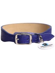 Ошейник для собак Mr.Kranch из натуральной кожи с QR-адресником, синий