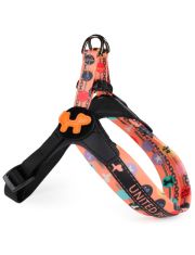 Шлейка для собак United Pets Complete me Forever оранжевая с рисунком