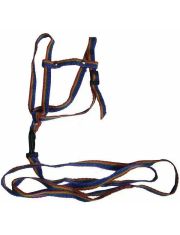 Комплект "Радуга", поводок+шлейка